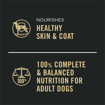 Purina Pro Plan High Protein, Gravy Adult Wet Dog Food - (12) 13 Oz. Cans